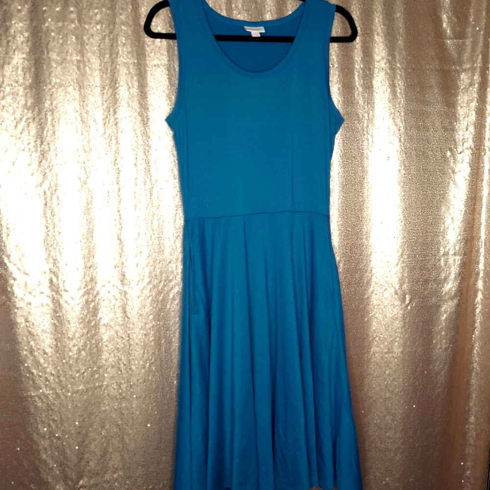 LuLaRoe NWOT S Nicki dress - teal